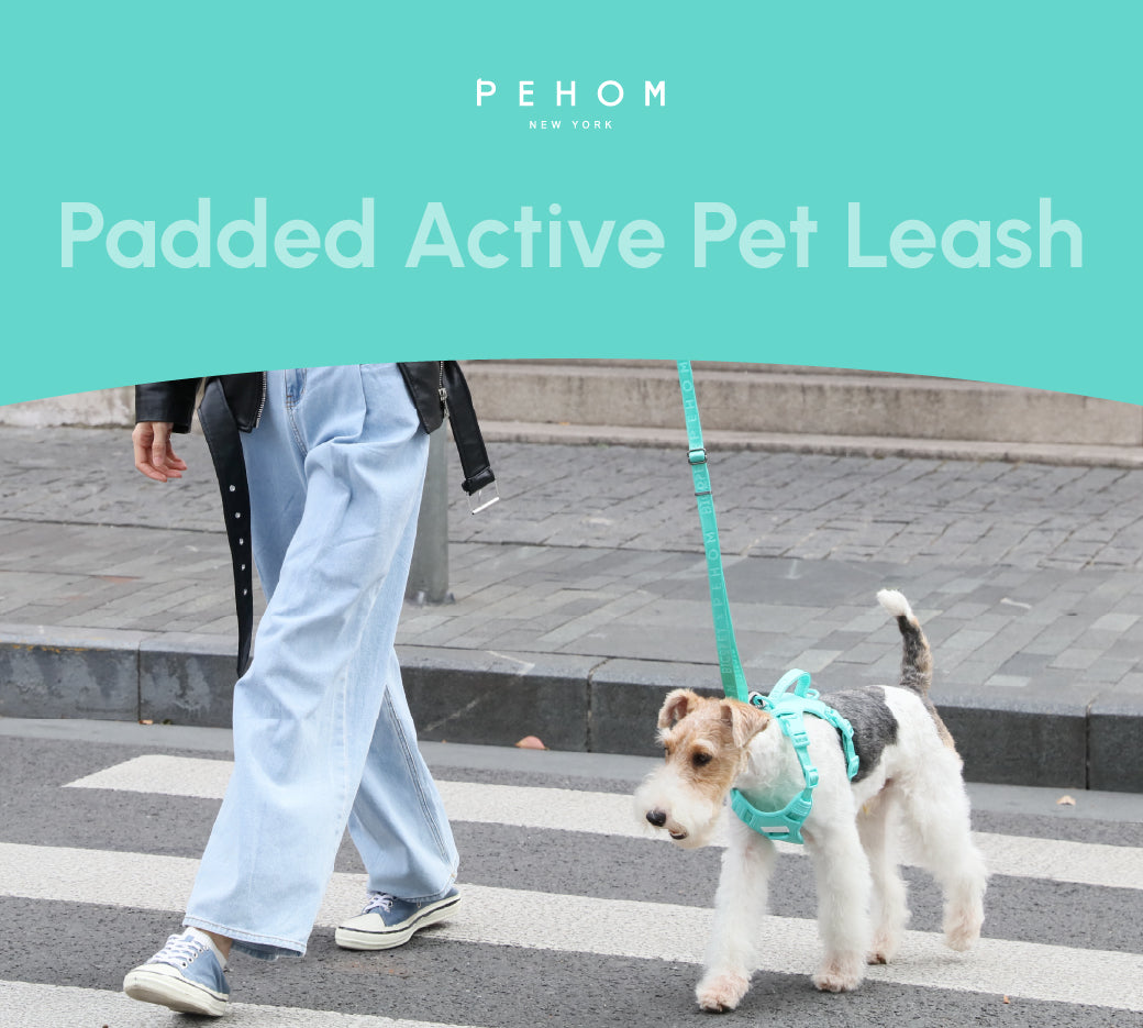 PADDED ACTIVE PET LEASH - MINT GREEN