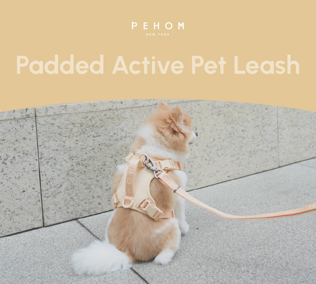 PADDED ACTIVE PET LEASH - APRICOT