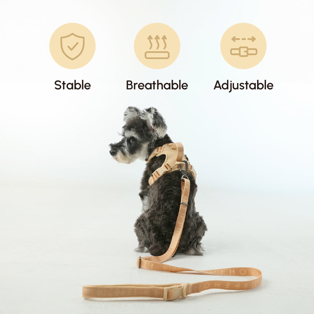 PADDED ACTIVE PET LEASH - APRICOT