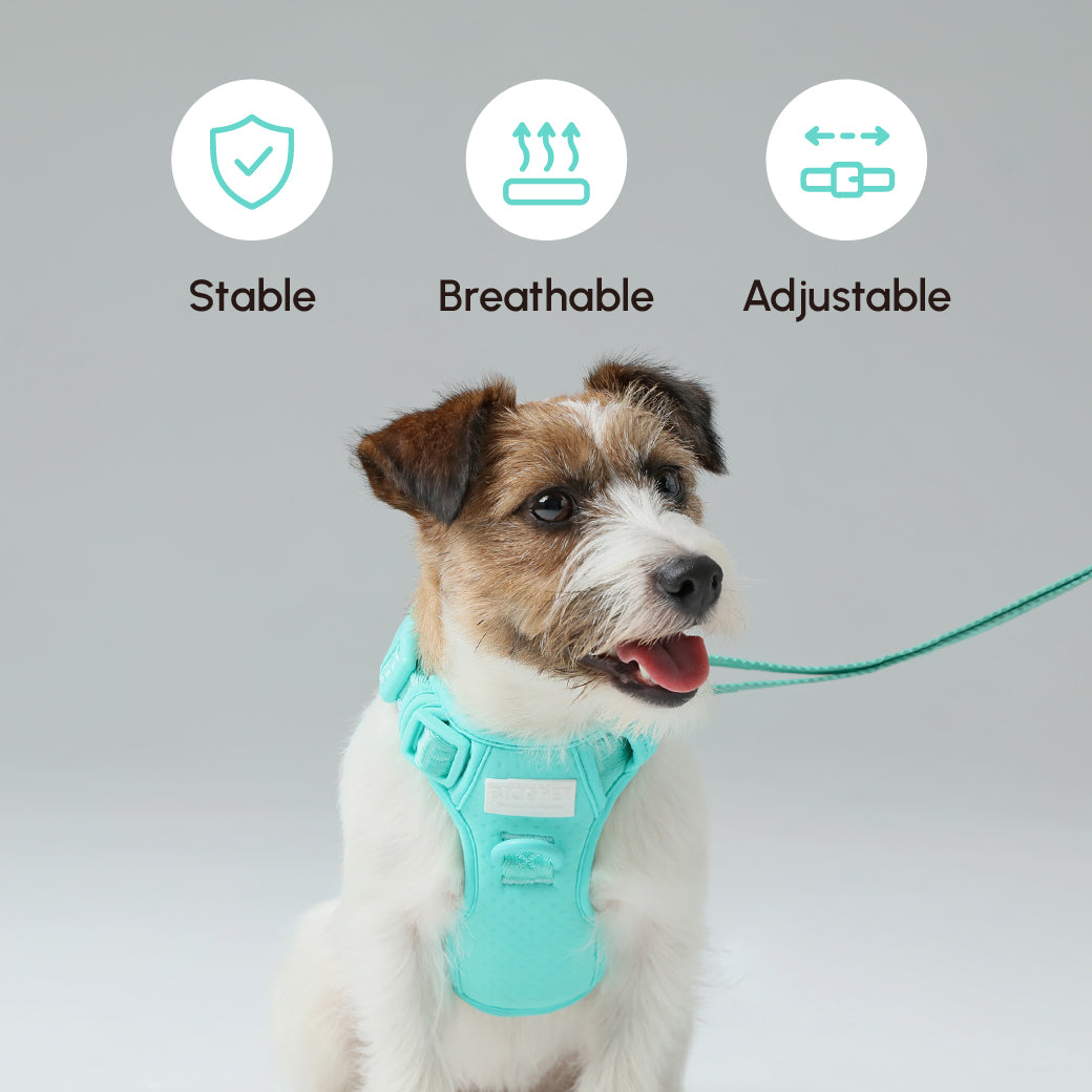 PADDED ACTIVE PET LEASH - MINT GREEN
