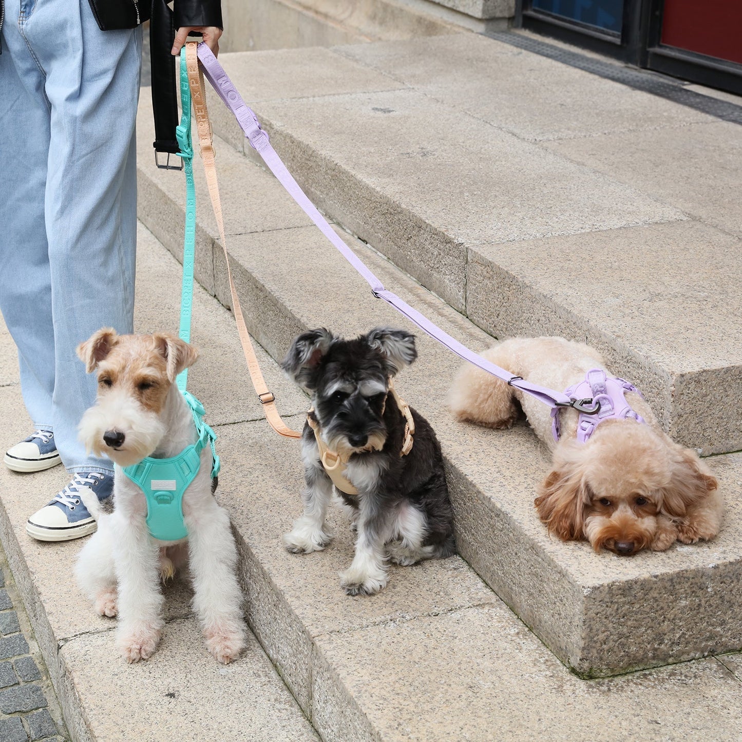 PADDED ACTIVE PET LEASH - MINT GREEN