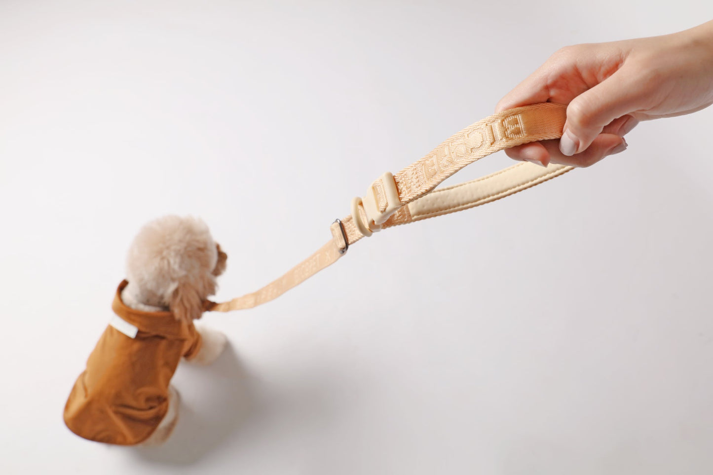 PADDED ACTIVE PET LEASH - APRICOT
